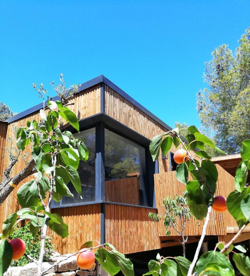 Villa Occitana Калвисон Екстериор снимка